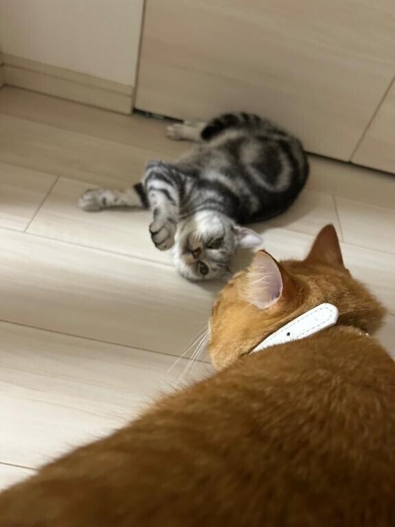 30日まで