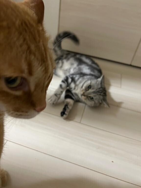 最終日??