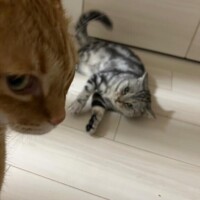 そら