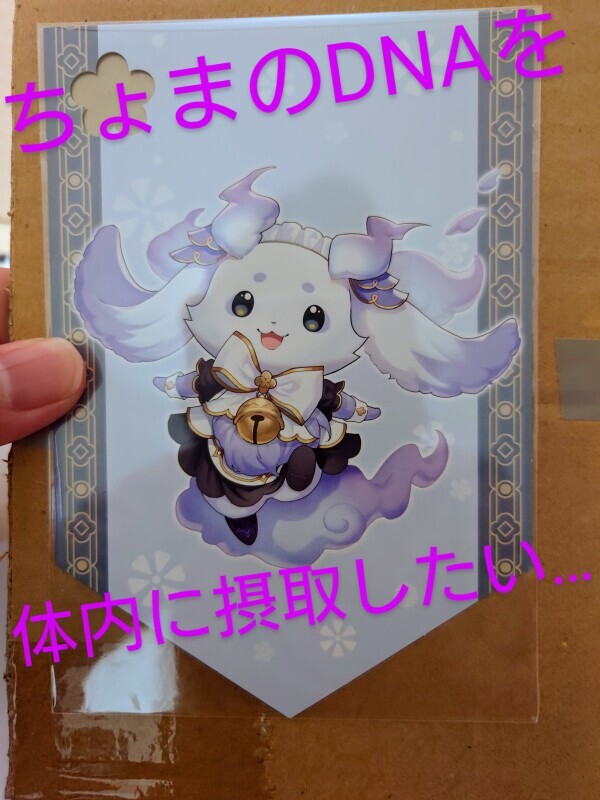『どきどきキュン！で大暴走』