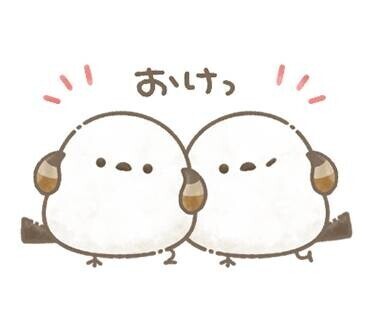 今日は夜から
