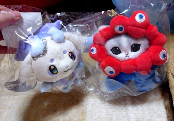 あかり出勤します(๑•̀ㅂ•́)و✧
