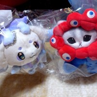あかり出勤します(๑•̀ㅂ•́)و✧