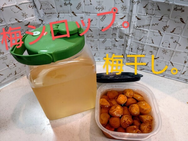 梅仕事、仕上がりました(๑•̀ㅂ•́)و✧