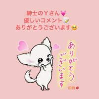 紳士のＹさん🩷