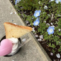 7月4.5日のお礼