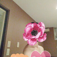ありがとう&本日22時迄
