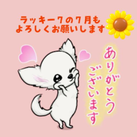 卯月