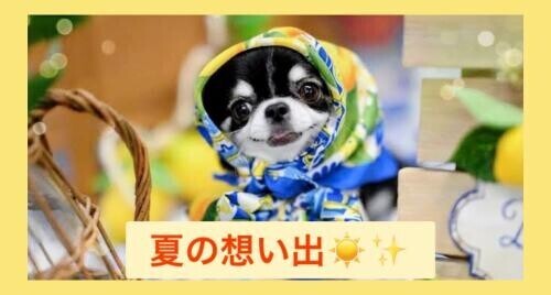 夏の想い出 🧡 