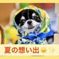 卯月