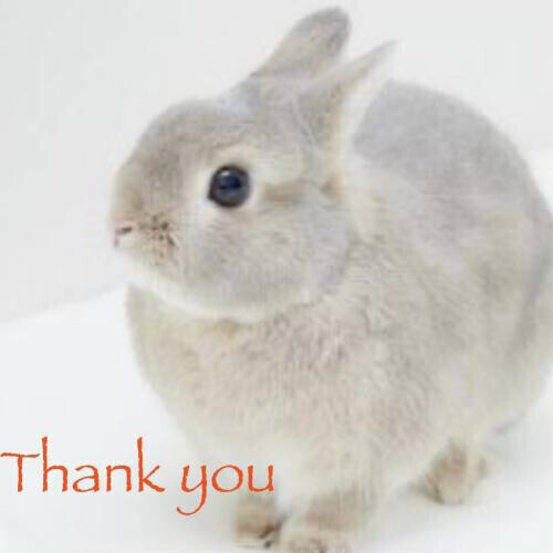 9/12🐰Thank you
