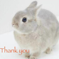 9/12🐰Thank you