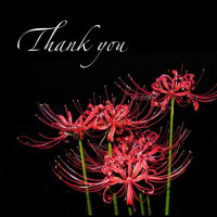 9/19?Thank you