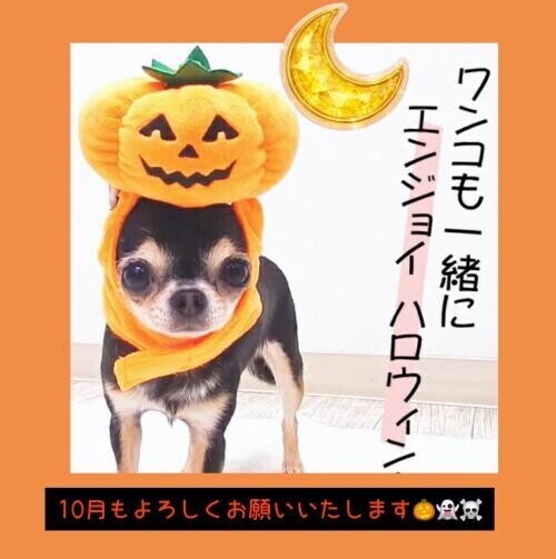 10月もよろしくお願いします💛