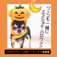 10月もよろしくお願いします💛