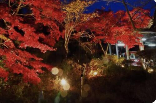 NoTitle