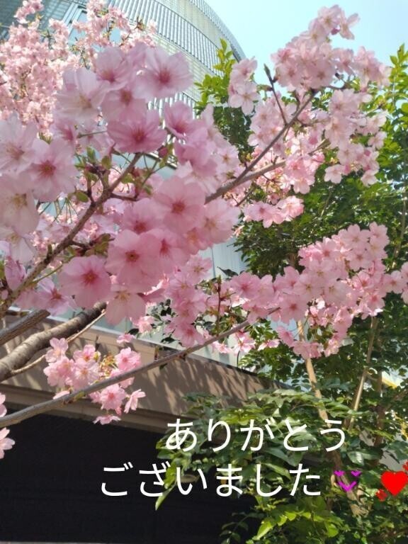 今宵??のお礼??