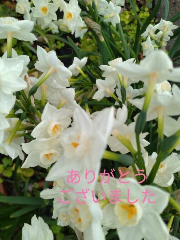 本日のお礼??
