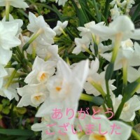 本日のお礼??