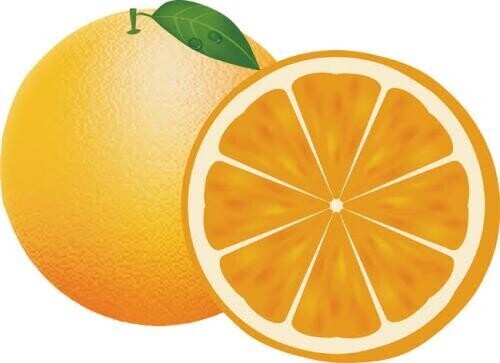今日はオレンジディ🍊