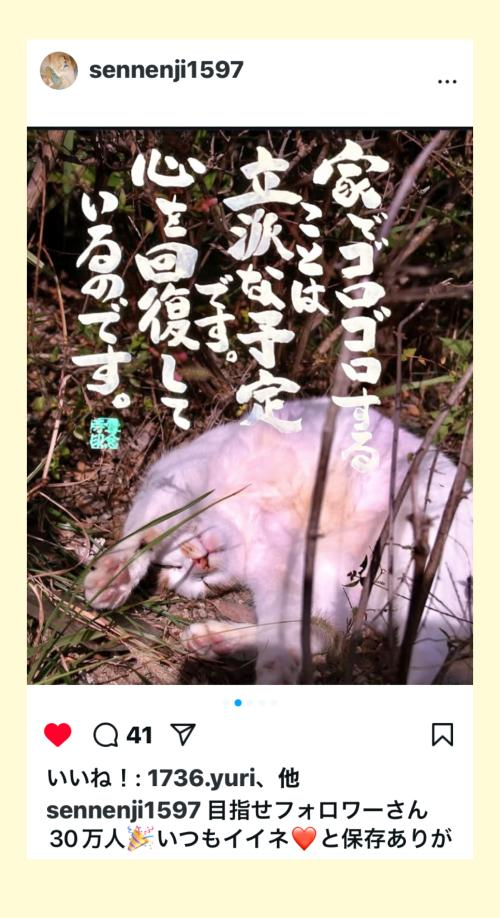 なんとっ温かいお言葉✨