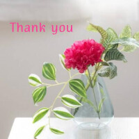 5/11?Thank you