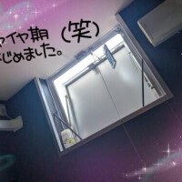 おねがいっ♡♡