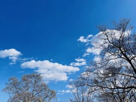こんにちは♫
