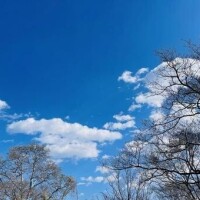 こんにちは♫