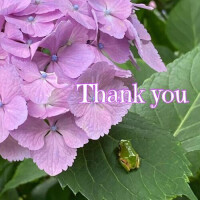 6/4✨Thank you