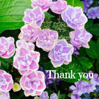 6/8?Thank you