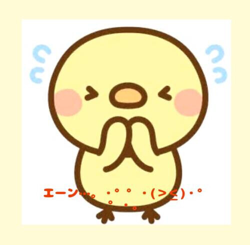 色々ご迷惑をおかけしております🙇‍♀️