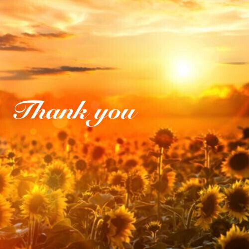 8/30🌻Thank you