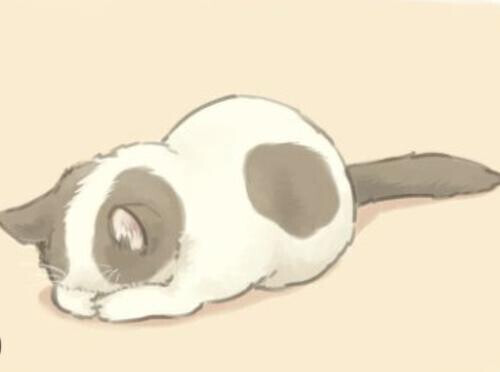 ごめんなさいm(__)m