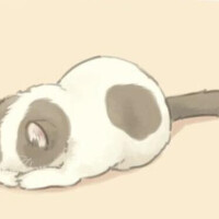 ごめんなさいm(__)m