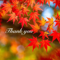 11/30?Thank you +α?