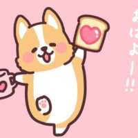 今日も☺️🩷とお知らせ😌