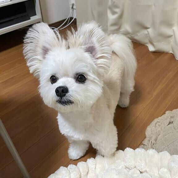 ２月の感謝?と３月スタート?