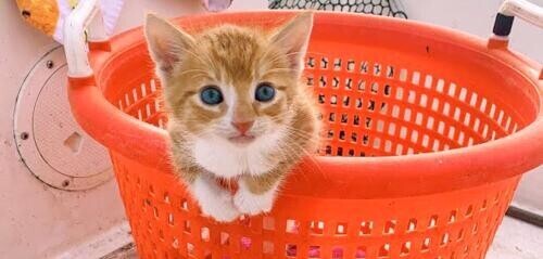 ２月のお礼❤️３月スタート🎵