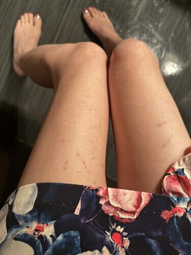 先日の旦那様方🍀*゜