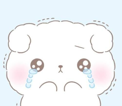 ごめんなさい(｡>_<｡)