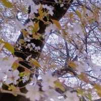 こんにちわ(*´∀`*)ﾉ