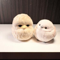 お休みです