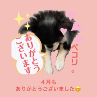 ５月GO！！