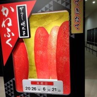 ☆茨城旅5☆