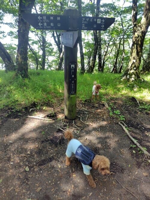 ☆登山☆