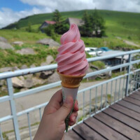☆ボルシチ諦めて…☆