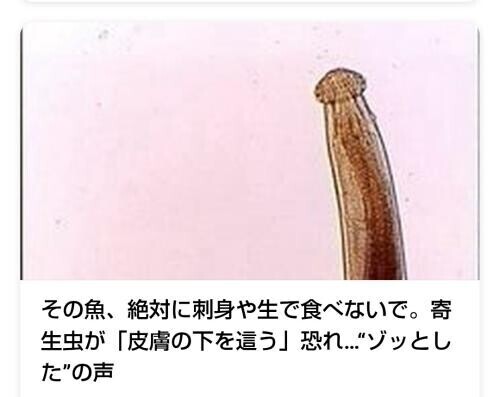 ☆何に見えた…？☆