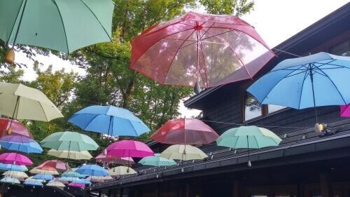 ☆長雨☆
