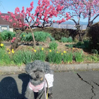 ☆お花見☆